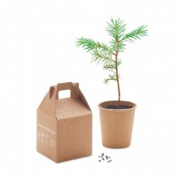 GROWTREE Fenyő szett
