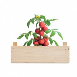 TOMATO Paradicsomkészlet faládában