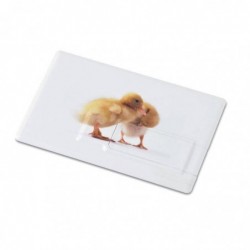 MEMORAMA Creditcard. USB...