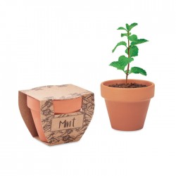 MINT POT Terrakotta ültető,...