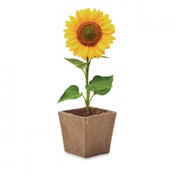 SUNFLOWER KIT Napraforgó ültetőkészlet