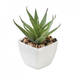 ARTILOE Mini műnövény, aloe...