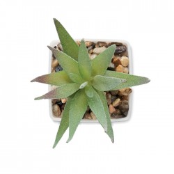 ARTILOE Mini műnövény, aloe ferox mill