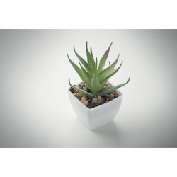 ARTILOE Mini műnövény, aloe ferox mill
