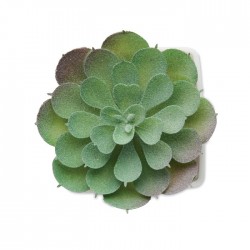 ARTIECHE Mini műnövény, echeveria