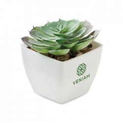 ARTIECHE Mini műnövény, echeveria
