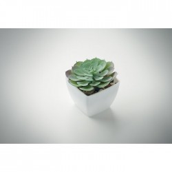 ARTIECHE Mini műnövény, echeveria