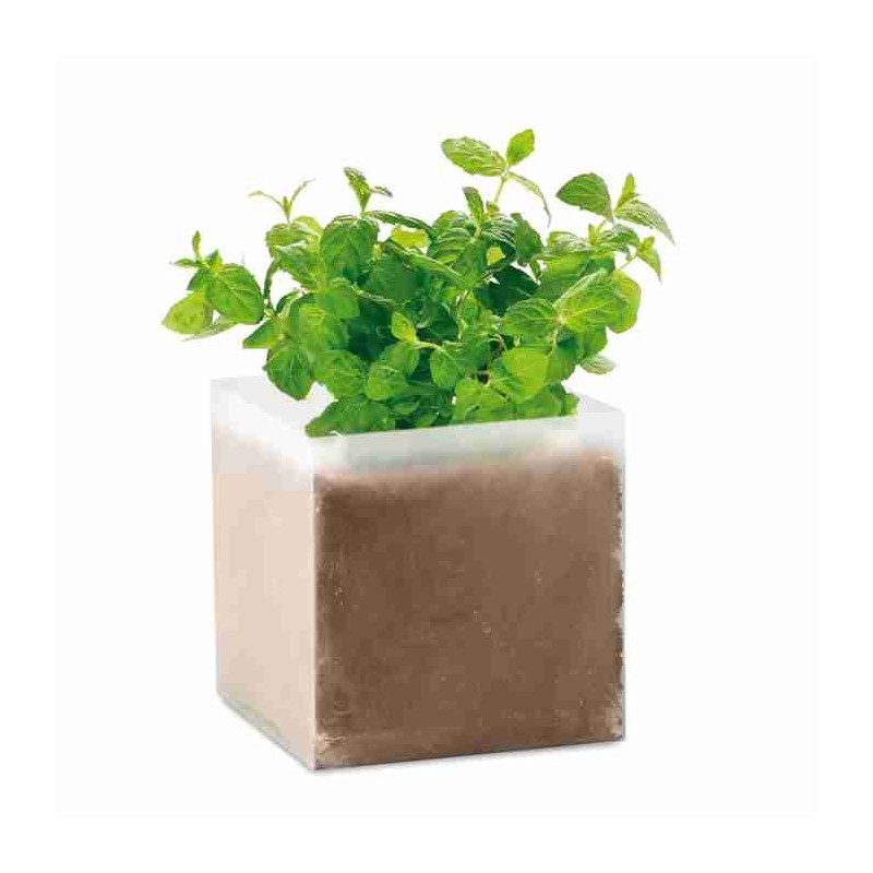 MINT